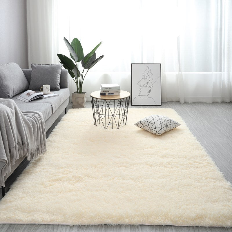 Nordic Fluffy Carpet Rugs