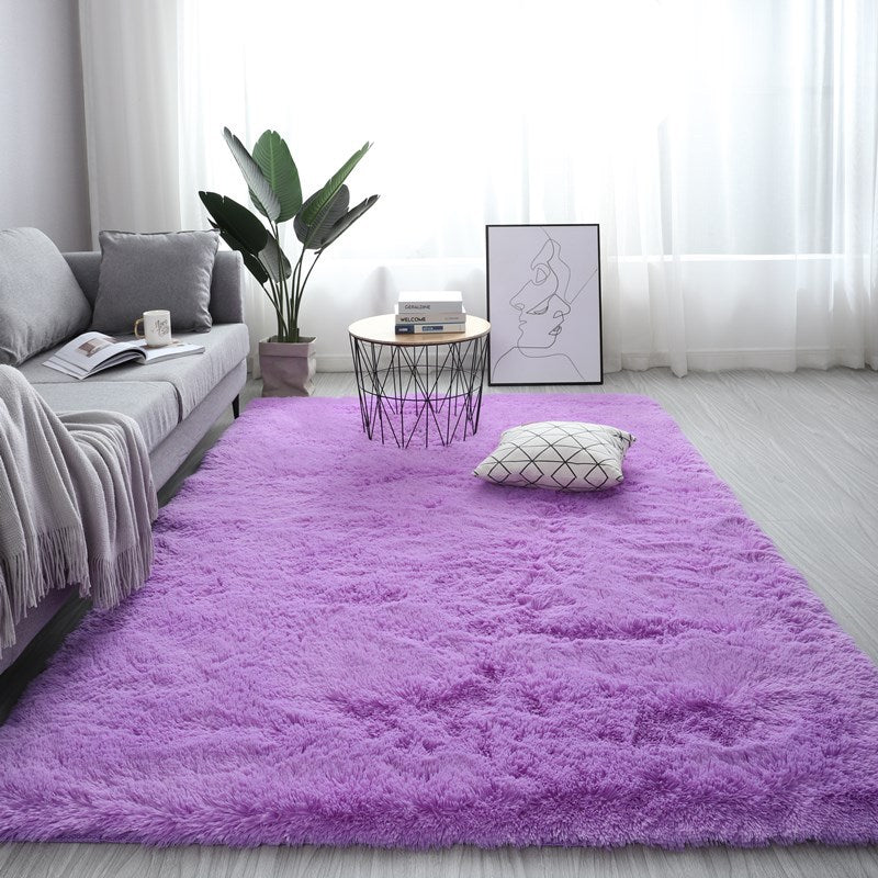 Nordic Fluffy Carpet Rugs